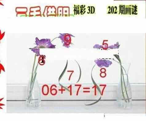 24202期: 三毛3D精品图谜