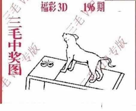 24196期: 三毛3D精品图谜