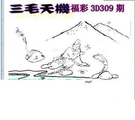 24309期: 三毛3D精品图谜