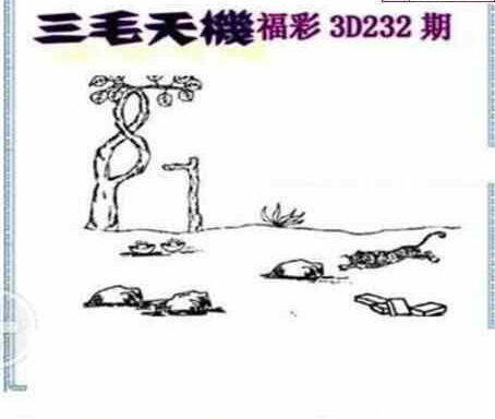 24232期: 三毛3D精品图谜