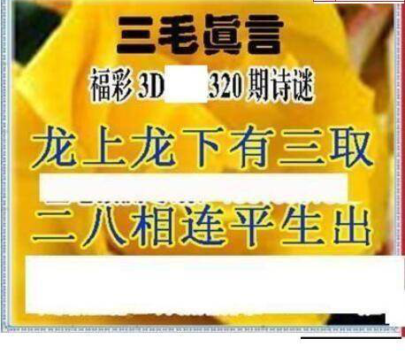 24320期: 三毛3D精品图谜