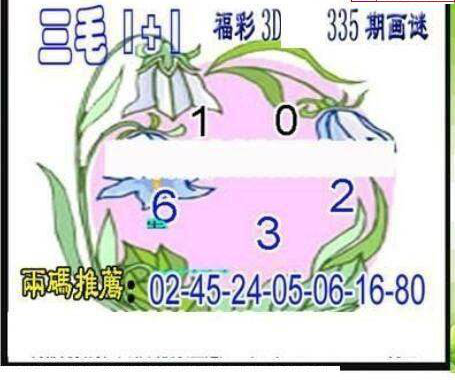 24335期: 三毛3D精品图谜