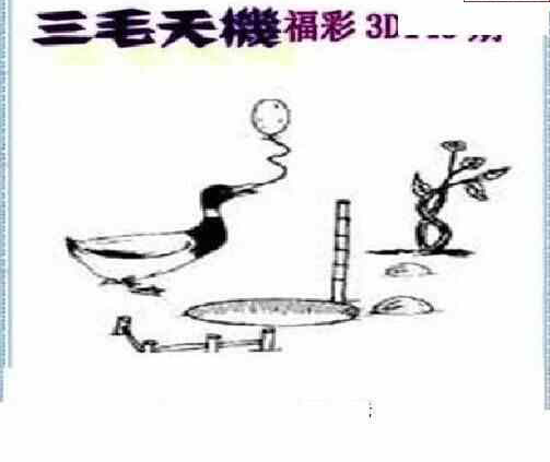 24143期: 三毛3D精品图谜