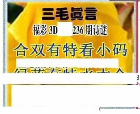 24236期: 三毛3D精品图谜