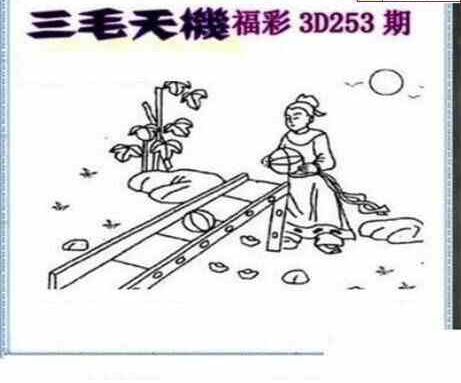 24253期: 三毛3D精品图谜