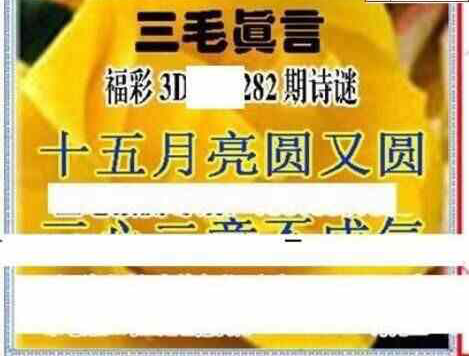 24282期: 三毛3D精品图谜