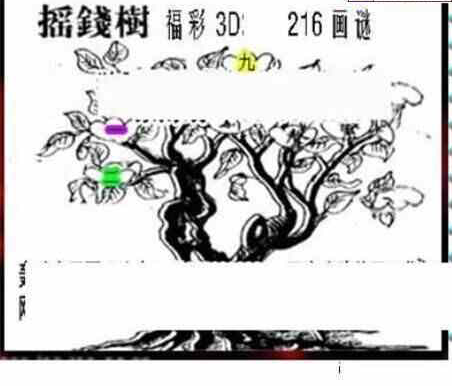 24216期: 三毛3D精品图谜