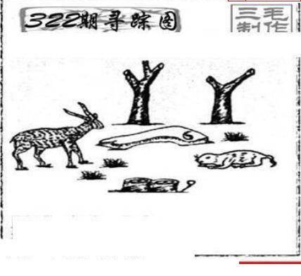 24322期: 三毛3D精品图谜