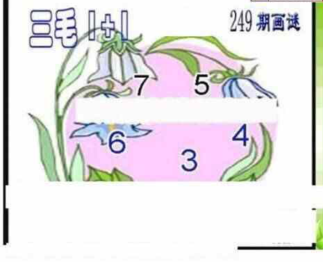 24249期: 三毛3D精品图谜