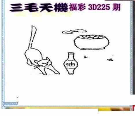 24225期: 三毛3D精品图谜