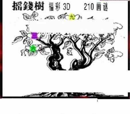 24210期: 三毛3D精品图谜