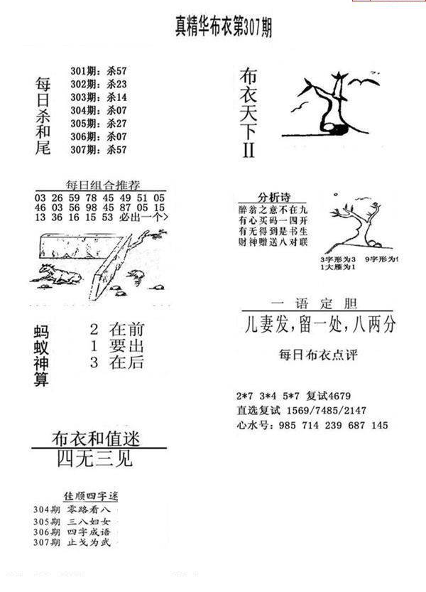 24307期: 福彩3D全套图版参考