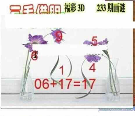 24233期: 三毛3D精品图谜