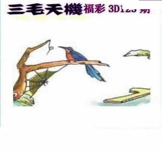 24123期: 三毛3D精品图谜