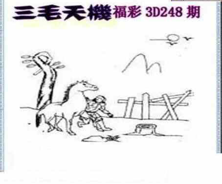 24248期: 三毛3D精品图谜