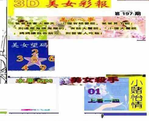 24197期: 三毛3D精品图谜