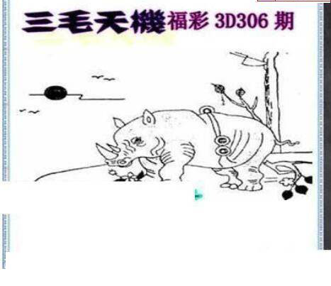 24306期: 三毛3D精品图谜