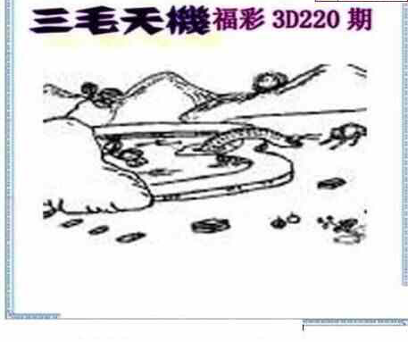 24220期: 三毛3D精品图谜