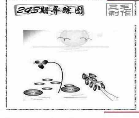 24243期: 三毛3D精品图谜