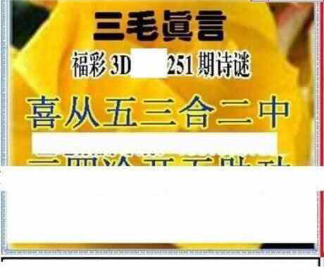 24251期: 三毛3D精品图谜