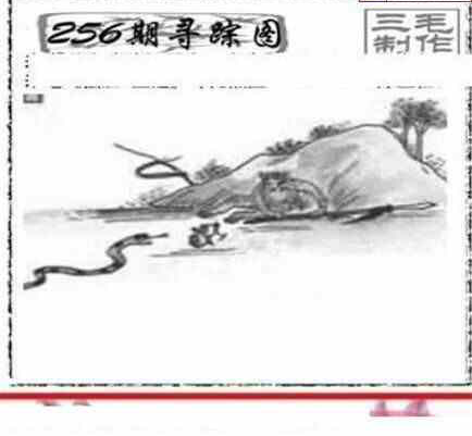 24256期: 三毛3D精品图谜