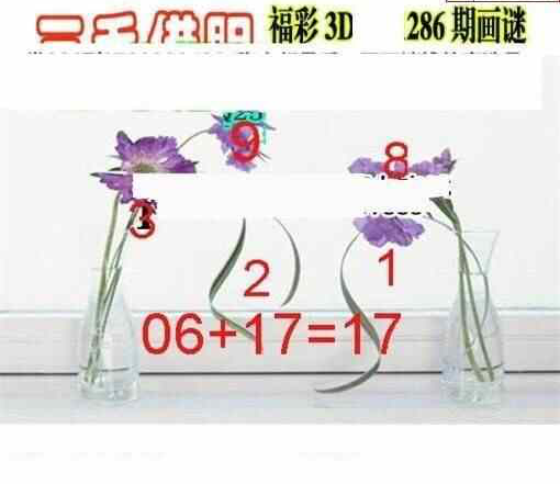 24286期: 三毛3D精品图谜