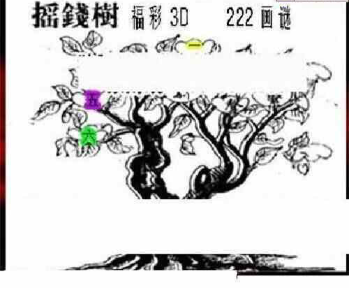 24222期: 三毛3D精品图谜