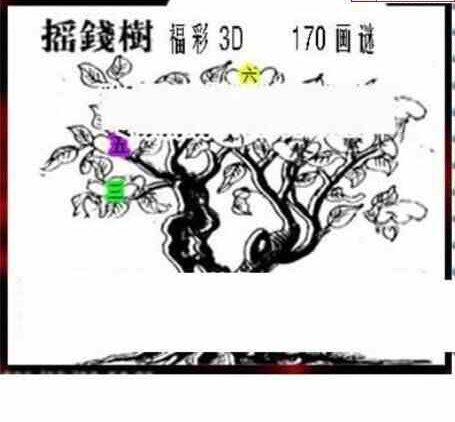 24170期: 三毛3D精品图谜