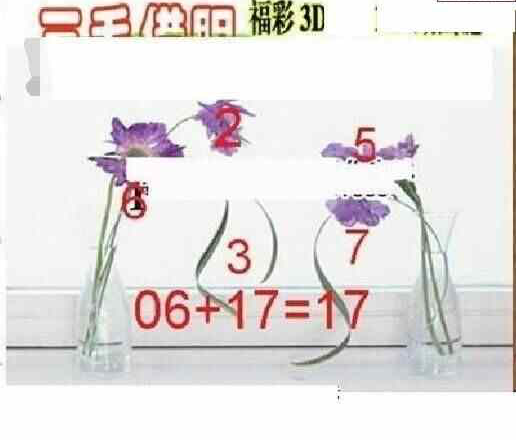 24139期: 三毛3D精品图谜