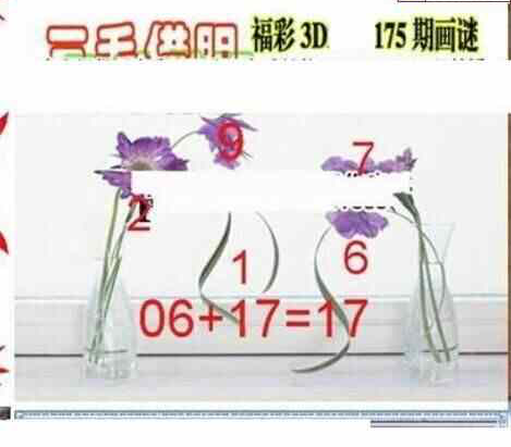 24175期: 三毛3D精品图谜