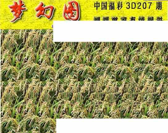 24207期: 3D蝴蝶世家蝴蝶彩图