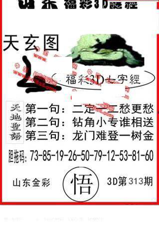 24313期: 福彩3D丹东全图分析