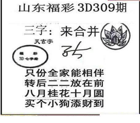 24309期: 三毛3D精品图谜