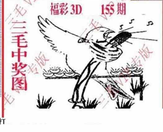 24155期: 三毛3D精品图谜