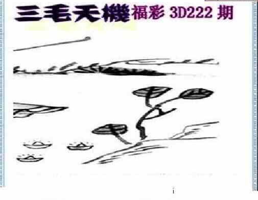 24222期: 三毛3D精品图谜