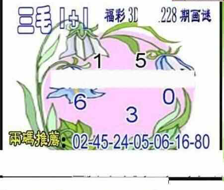 24228期: 三毛3D精品图谜