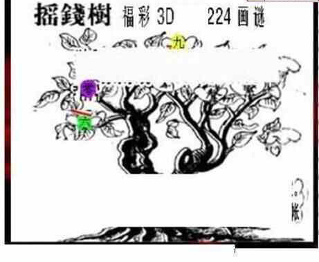 24224期: 三毛3D精品图谜