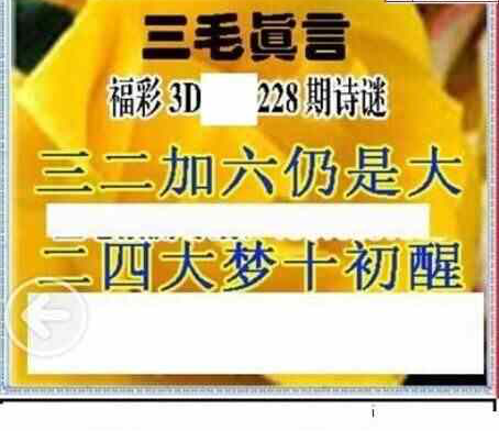 24228期: 三毛3D精品图谜