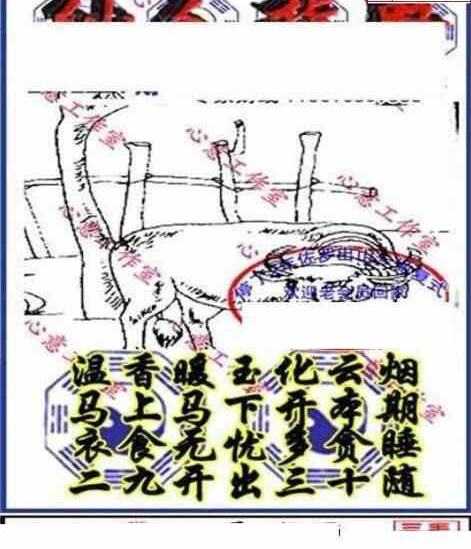 24224期: 三毛3D精品图谜