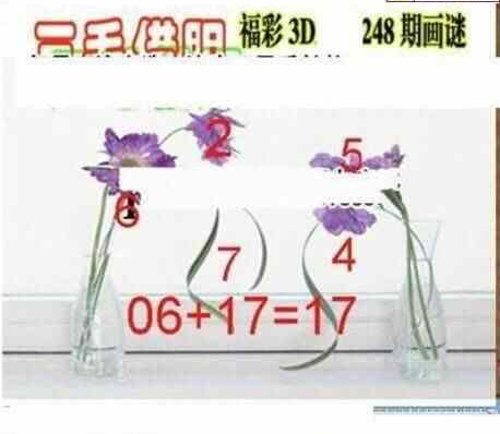 24248期: 三毛3D精品图谜