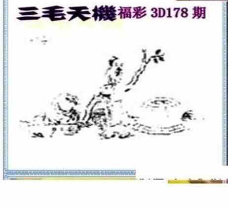 24178期: 三毛3D精品图谜