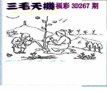 24267期: 三毛3D精品图谜