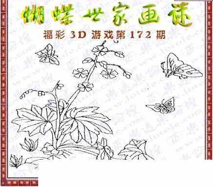 24172期: 3D蝴蝶世家蝴蝶彩图