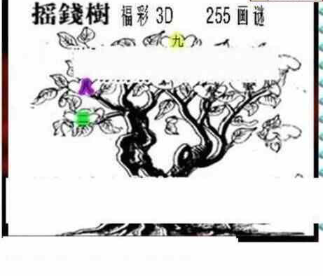 24255期: 三毛3D精品图谜