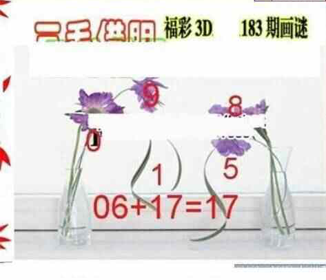 24183期: 三毛3D精品图谜