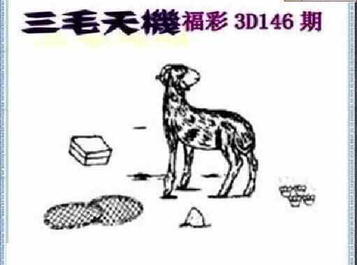 24146期: 三毛3D精品图谜