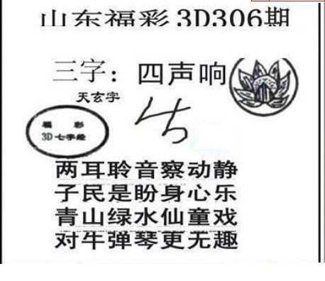 24306期: 三毛3D精品图谜