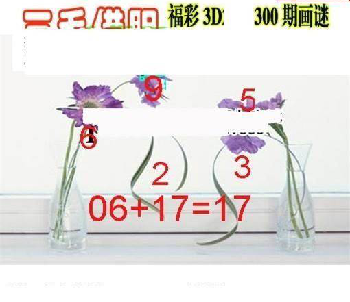 24300期: 三毛3D精品图谜