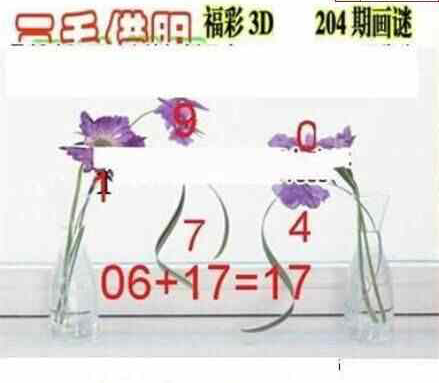 24204期: 三毛3D精品图谜