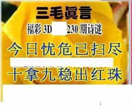 24230期: 三毛3D精品图谜